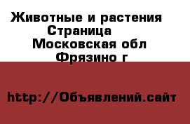  Животные и растения - Страница 14 . Московская обл.,Фрязино г.